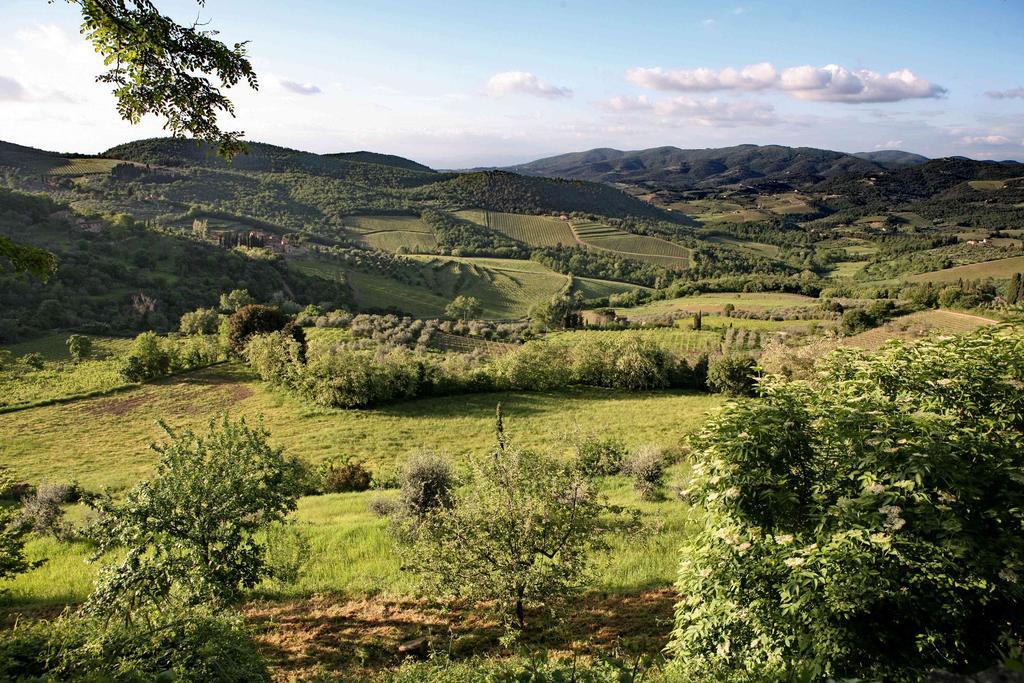 판자노 Residenza Antico Chianti 게스트하우스 외부 사진